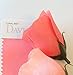 Angel Isabella Boutonniere - Coral Rosebud with Pin for Prom, Party, Wedding