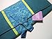 Lantern Moon Blue Lime Silk Knitting Needles Combo Case Organizer