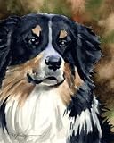 Australian Shepherd Dog Art Print Signed by Artist DJ Rogers