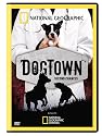 National Geographic: Dogtown - Second Chances