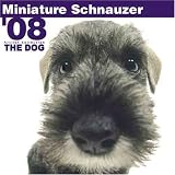 THE DOG Artlist - Miniature Schnauzer 2008 Calendar