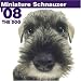   - THE DOG Artlist - Miniature Schnauzer 2008 Calendar