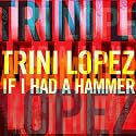 If I Had a Hammer