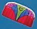 Mighty Bug 0.5 Dual line Airfoil Stunt Kite