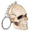 Skulls and Skeletons - Skull Key Chain - Cold Cast Resin - 2.0" Height