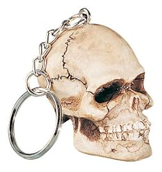 Skulls and Skeletons - Skull Key Chain - Cold Cast Resin - 2.0" Height