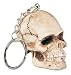 Skulls and Skeletons - Skull Key Chain - Cold Cast Resin - 2.0" Height