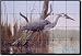 Stalking the Shallows by Robert Binks - Heron Wildlife Tumbled Marble Mural 16