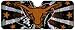 NCAA Texas Longhorns Sun Shade