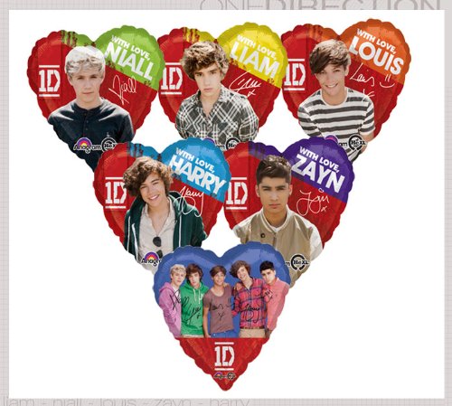 One Direction Boy Band 17