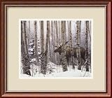 A Walk In the Woods Framed Art Print by Stephen Lyman,15.5 x 13.5 Framed