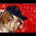 BULLDOG PAINTING