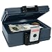First Alert 2013F Fire and Water Chest, 0.17 Cubic Foot, Gray