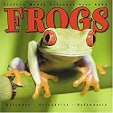 Frogs 2008 Wall Calendar