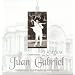 Celebracion De Los 25 Anos De Juan Gabriel En Bellas Artes [2-CD Set]
