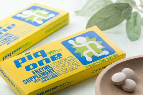 酵素 サプリメント piqone (ピックワン)