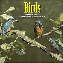 Birds 2010 Wall Calendar