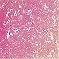 Filler Grass - Pink (5 lbs.)
