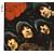 Rubber Soul