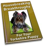 Housebreaking Breakthroughs For Your Yorkshire Puppy