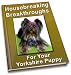 Housebreaking Breakthroughs For Your Yorkshire Puppy