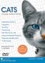 CATS - Choosing, Caring and Training.