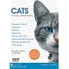 CATS - Choosing, Caring and Training.