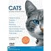 CATS - Choosing, Caring and Training.