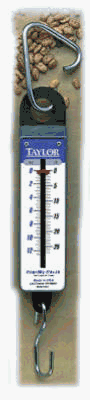 HealthPersonalCare: Indus Hanging Scale