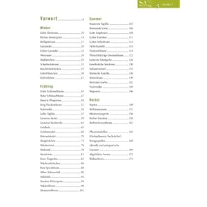 Alte Stauden neu entdeckt: Goldlack, Mondviole & Himmelsreiter