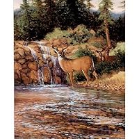 CrystaI Stream (Deer) Art Print Poster