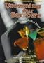 Drowning Our Sorrows (Psy) (Encyclopedia of Psychological Disorders)