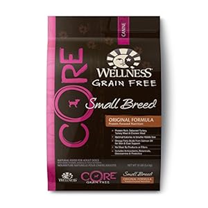 Wellness CORE Natural Grain Free Dry Dog Food, Small Breed Health Turkey & Chicken Recipe, 12-Pound Bag Wellness CORE Natural Grain Free Dry Dog Food, Small Breed Health Turkey & Chicken Recipe, 12-Pound Bag