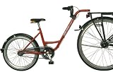 ROLAND Trailer Add+Bike Eco 20", rot, 3-Gangschaltung