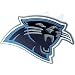 Carolina Panthers NFL Pewter Logo Trailer Hitch Cover
