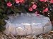 Rocky Mountain Bird Bath
