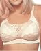   - Air Lift & Lace (36C, Beige)