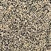 African Sahara Sand