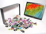 Photo Jigsaw Puzzle of Itaparica, Brazil from Danita Delimont