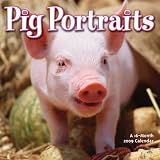 Pig Portraits 2009 Calendar