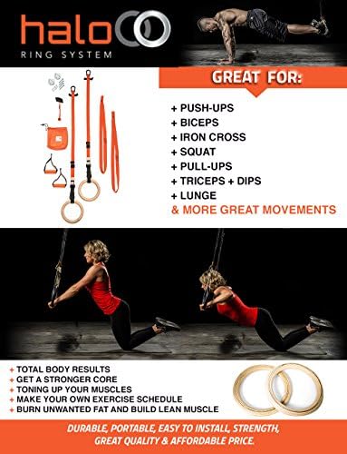 Best Suspension Straps Training System All-in-One Total Body Fitness Equipment Great for Crossfit Gymnastics Kids Workouts Military Training and More - Exercise Burn Fat Gain Strength Orange