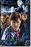 Harry Potter and the Deathly Hallows Part I Movie Group Poster Print - 22x34 Collections Poster Print, 22x34