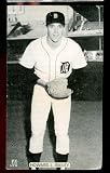 Howard Bailey Detroit Tigers - 1970s J D McCarthy Photo Postcard