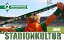 Stadionkultur