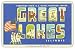 Fridgedoor - Greetings Great Lakes IL - Car Magnet