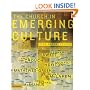 Church in Emerging Culture: Five Perspectives