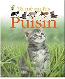 Puisín