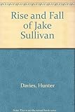 The rise and fall of Jake Sullivan