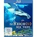 Im Reich der Tiefe [Blu-ray]