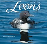 Loons 2010 Wall Calendar